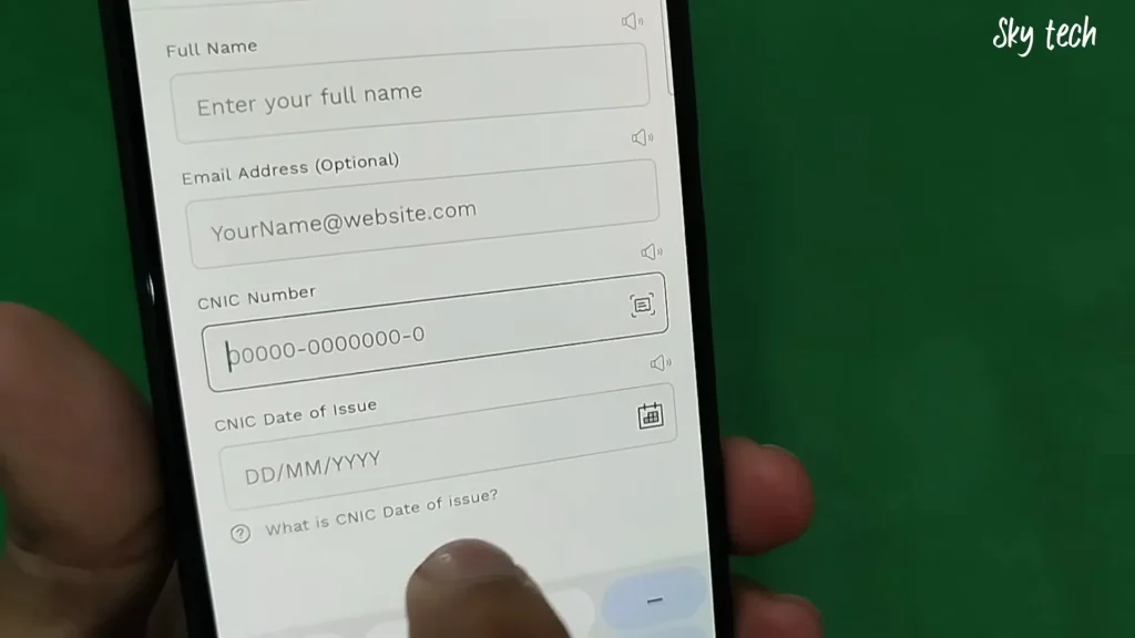 enter the details one by one